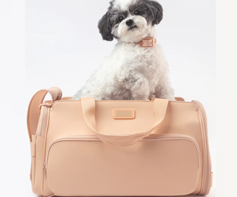 Pet Carrier Bag