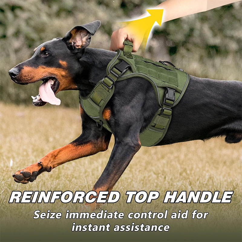 OEM Durable Dog Harness Vendor