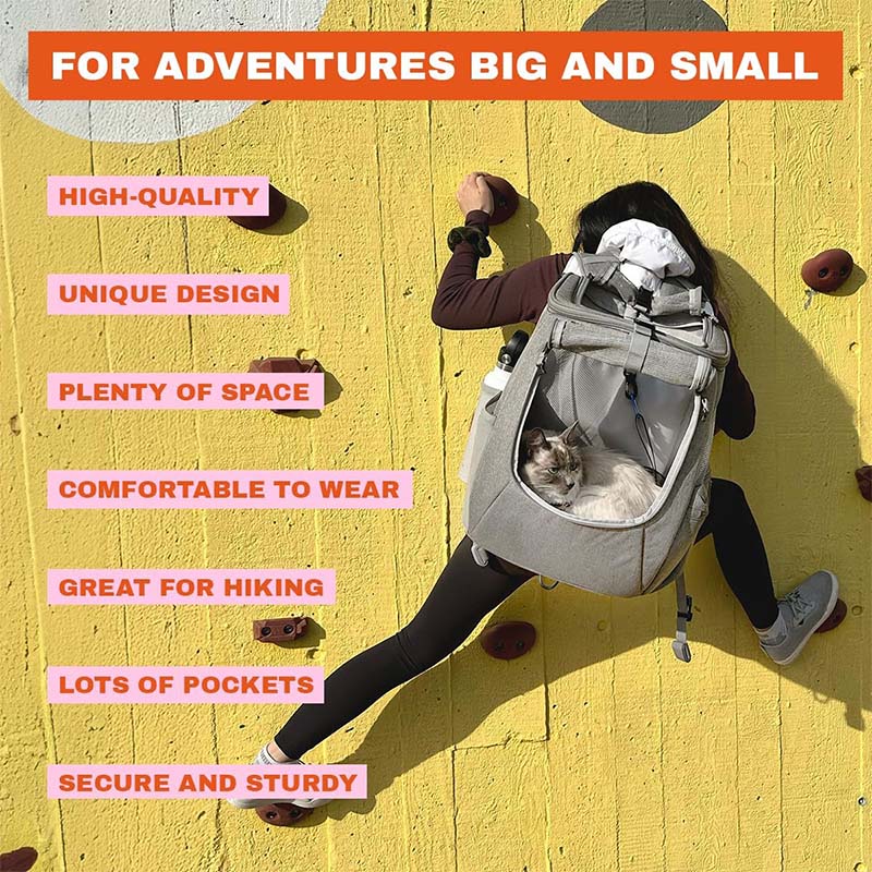 ODM Cat Travel Backpack For Adventures Vendor