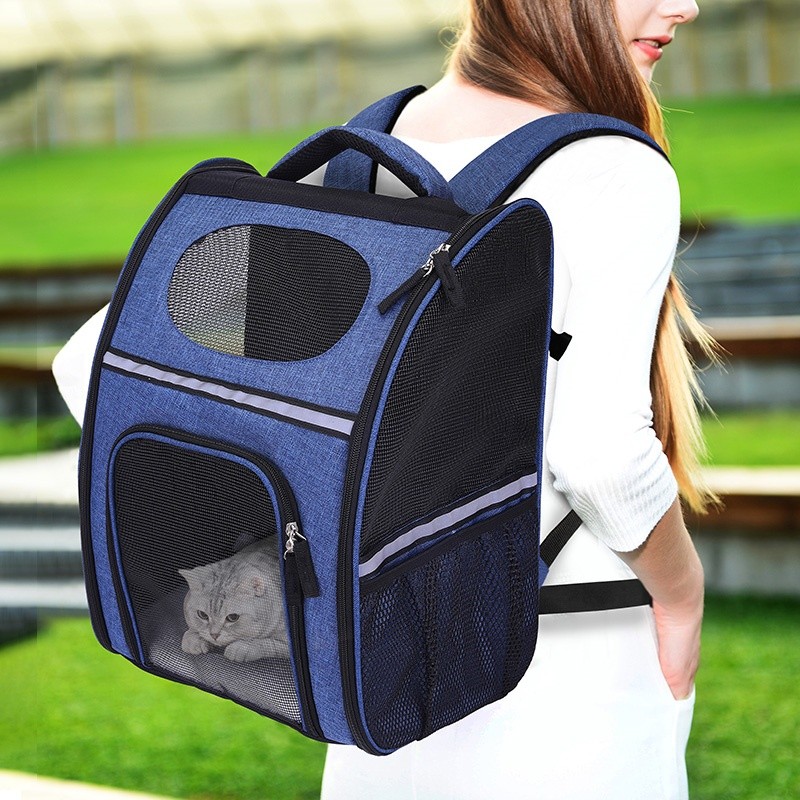 Collapsible pet carrier with multiple pockets
