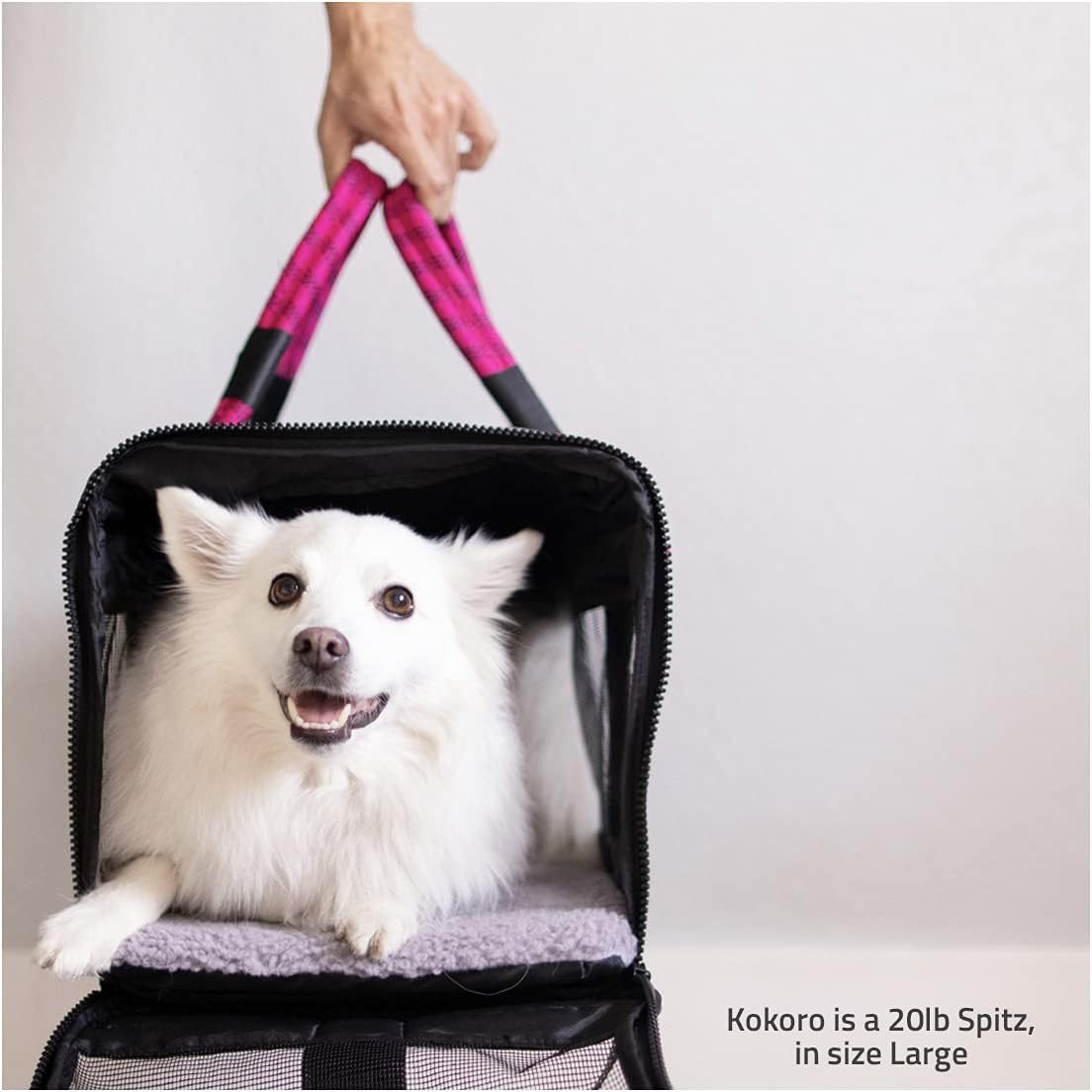 Multi-functional pet transport backpack