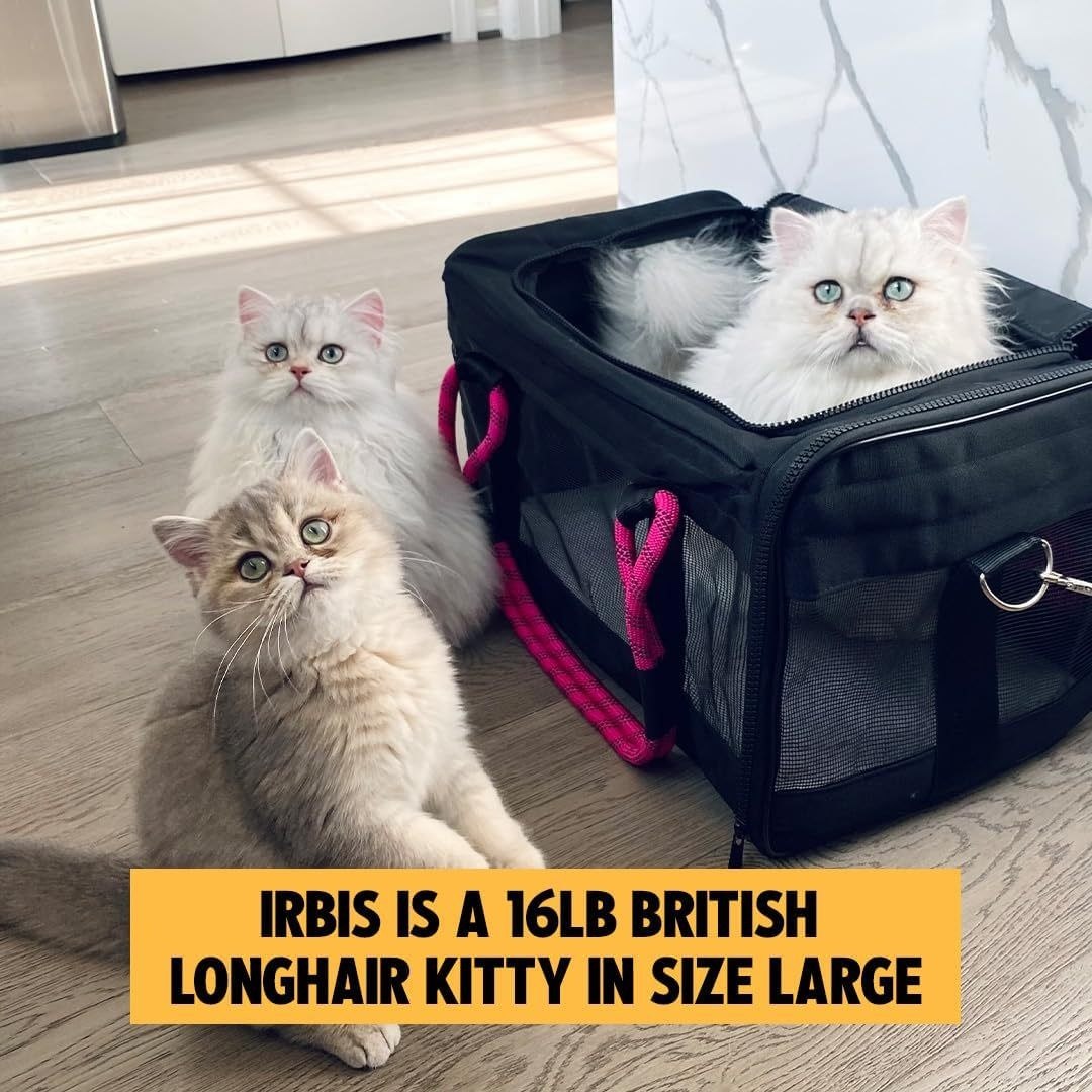 Durable foldable pet carrying bag