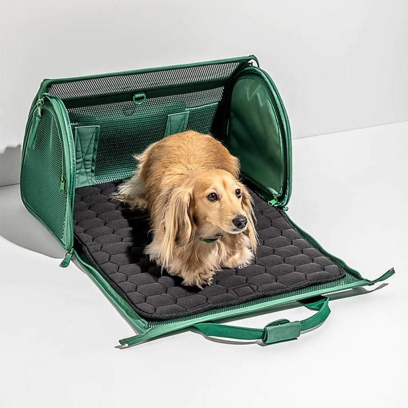 Portable cats and dogs carrier